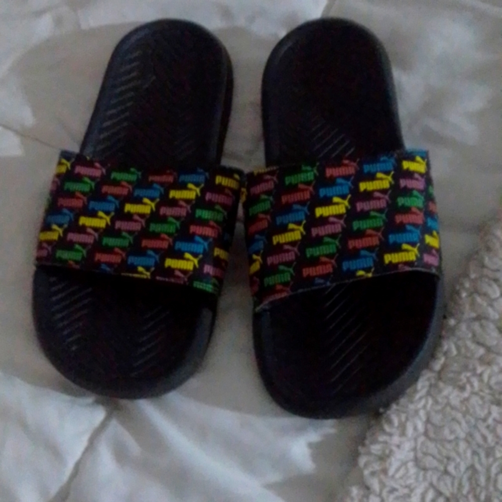 Puma slides